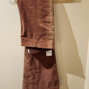 Free People Cords in Cinnamon Flare Leg - Elastic Waistband in Size 31